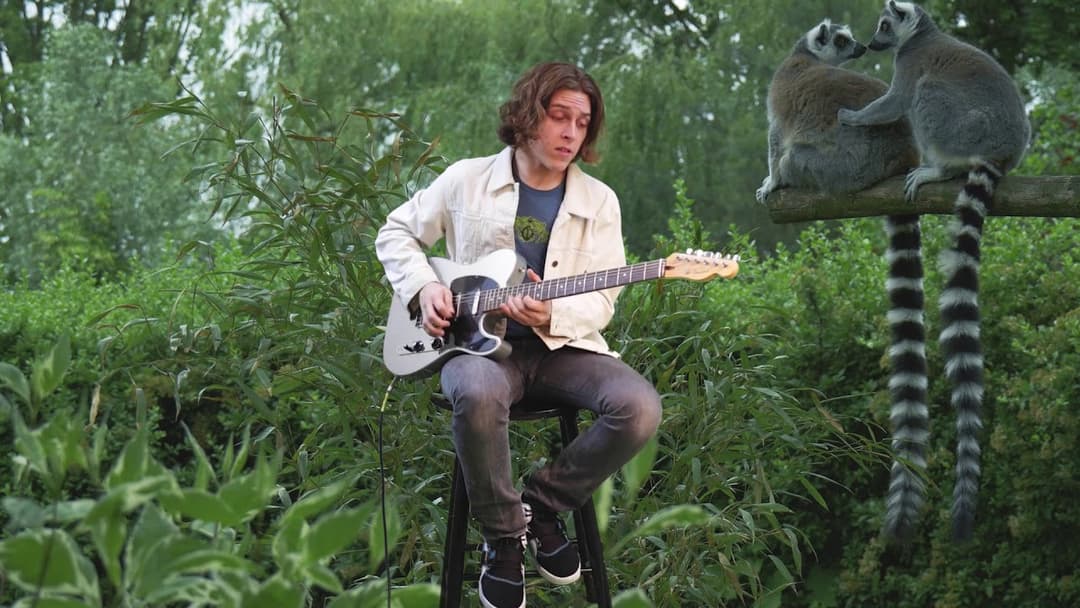 How To Play Guitar For Lemurs! Daniel Donato - Cosmic Country Thumbnail