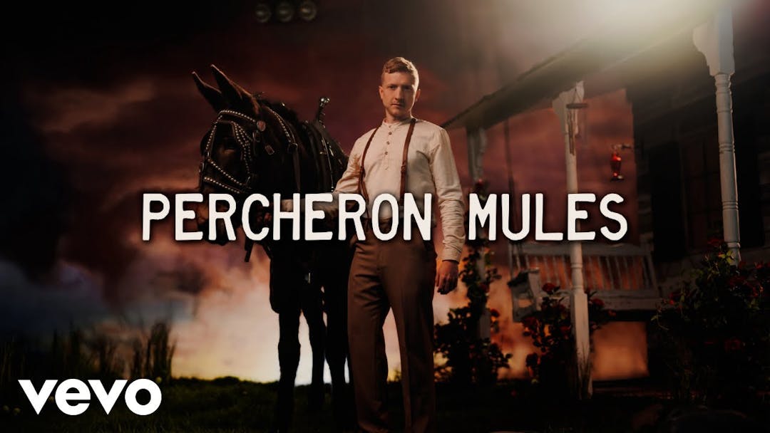 Tyler Childers - Percheron Mules (Lyric Video) Thumbnail