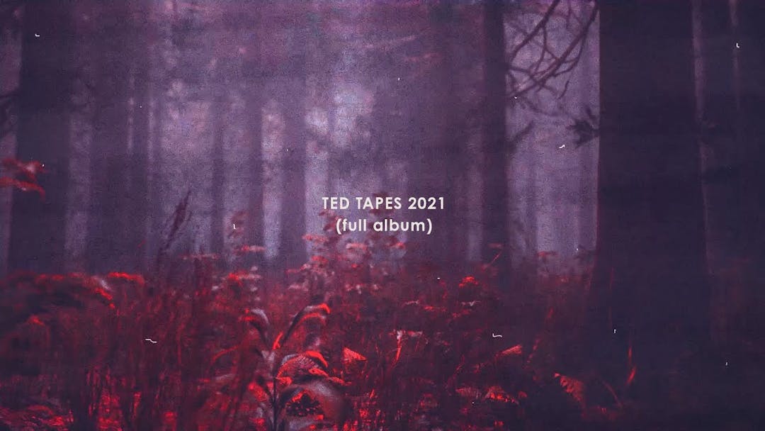 Goose - Ted Tapes 2021 (Full Album) Thumbnail