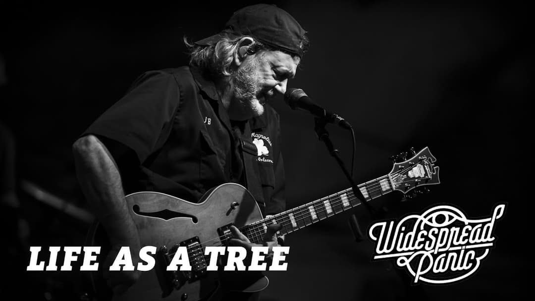 Life as a Tree (Live at Red Rocks) Thumbnail