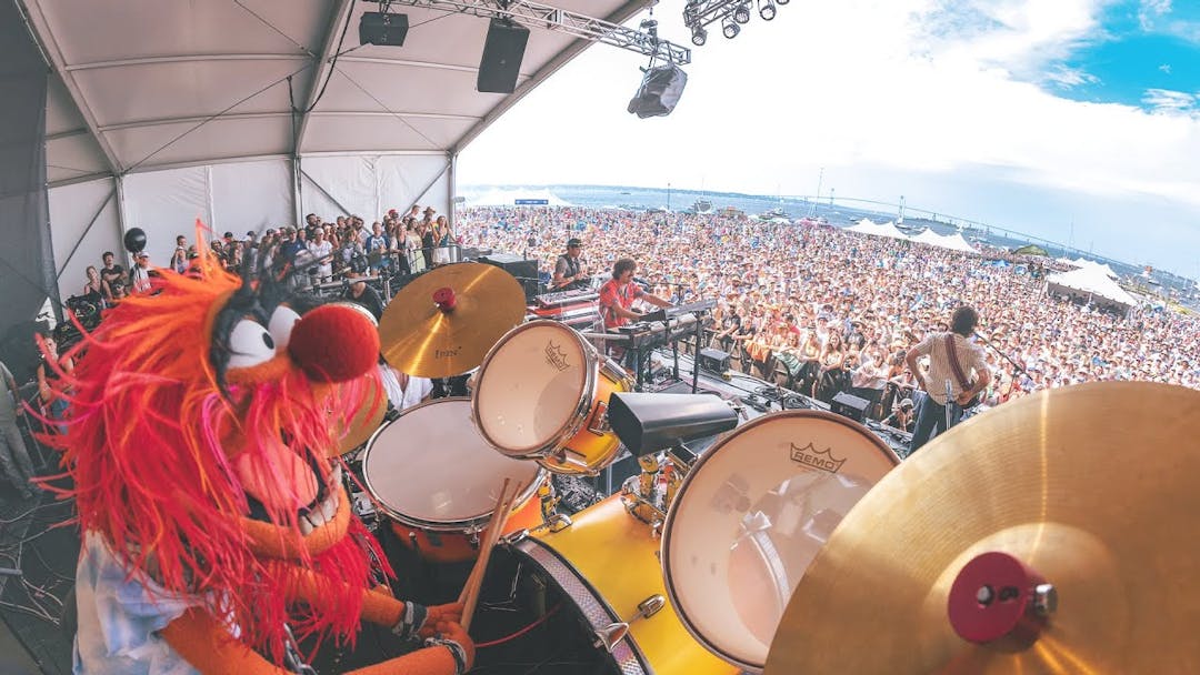 Goose - Animal (feat. Animal) - Newport Folk Festival 7/29/23 Thumbnail