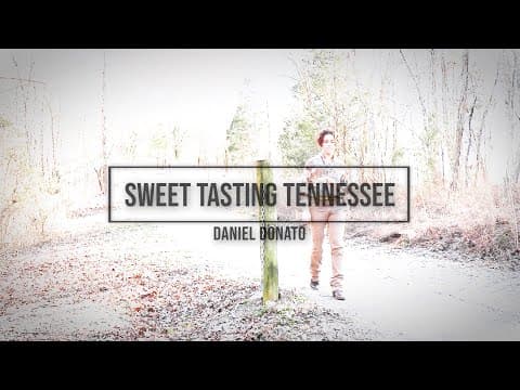 "Sweet Tasting Tennessee" (Official Video) - Daniel Donato Thumbnail