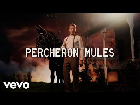 Tyler Childers - Percheron Mules (Lyric Video) Thumbnail