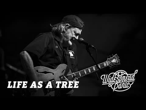 Life as a Tree (Live at Red Rocks) Thumbnail