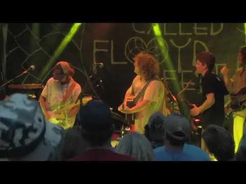 Aged White Cheddar - Kendall Street Company - FloydFest 2018 Thumbnail