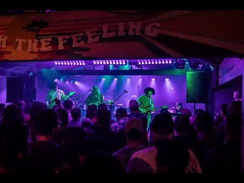 Dogs In A Pile - 4/13/24 - Moe's Alley - Santa Cruz, CA - Full Show Thumbnail