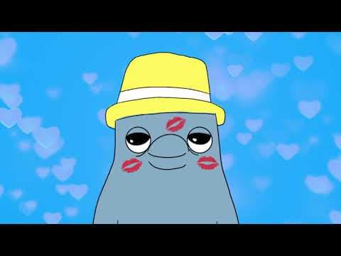 Kendall Street Company - "Shanti the Dolphin" [OFFICIAL VIDEO] Thumbnail